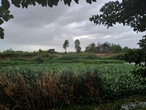 عکس رودخانه سالور چمخاله 