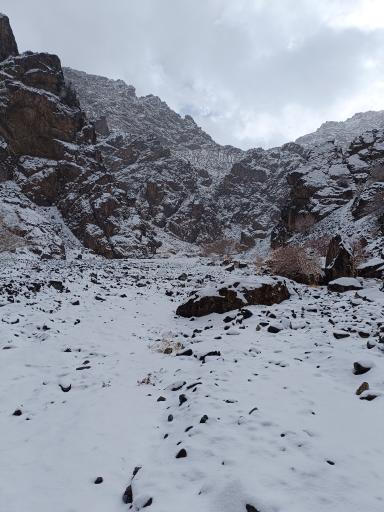 عکس دودران