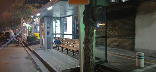 عکس  پیروزی 15