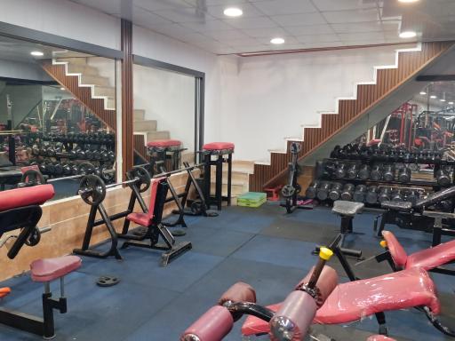 عکس باشگاه پرورش اندام تک تن