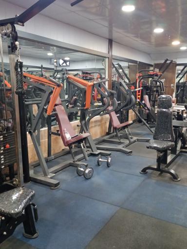 باشگاه پرورش اندام تک تن