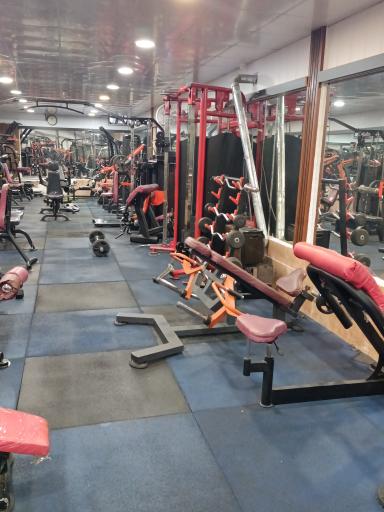 عکس باشگاه پرورش اندام تک تن