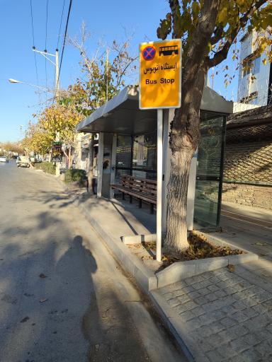 عکس  پیروزی 15