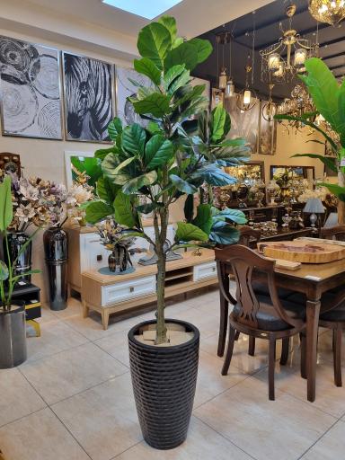 عکس لوتوس مارلیک