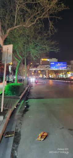 عکس  پیروزی 15