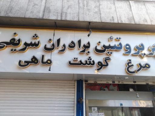 عکس مرغ فروشی شریفی