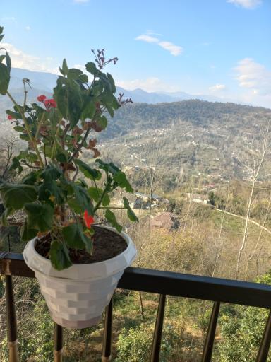 عکس مجموعه گردشگری عمو رشید