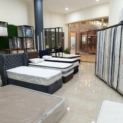 عکس نمایندگی تشک دکتر لایف