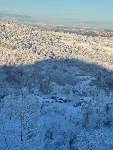 عکس مجموعه گردشگری عمو رشید