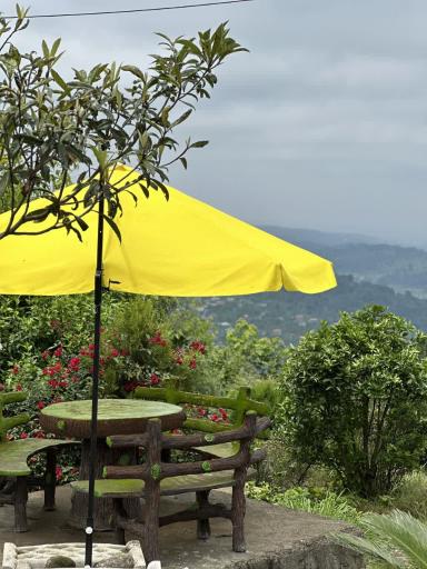 عکس مجموعه گردشگری عمو رشید