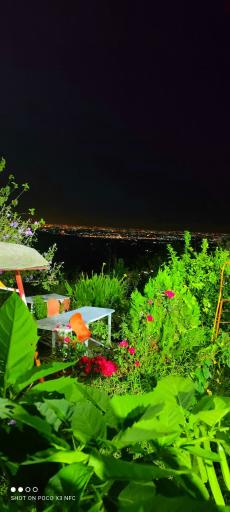 عکس مجموعه گردشگری عمو رشید