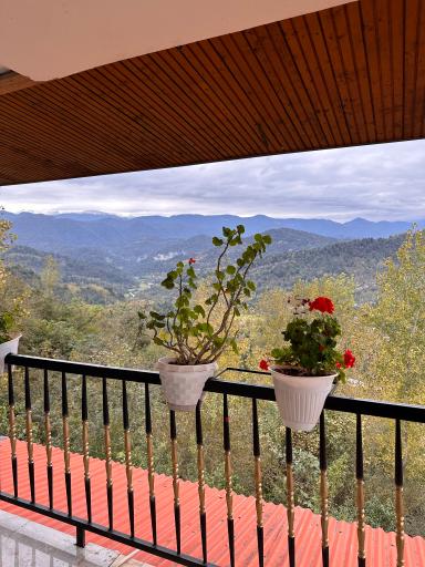 عکس مجموعه گردشگری عمو رشید