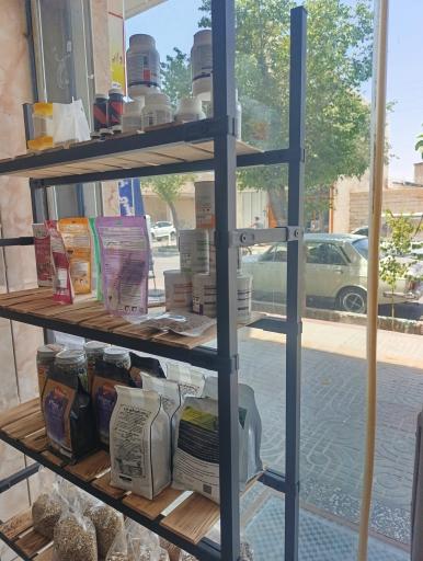 پت پالاس غذای حیوانات خانگی