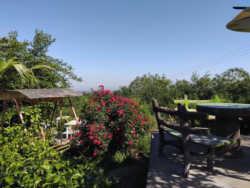 عکس مجموعه گردشگری عمو رشید