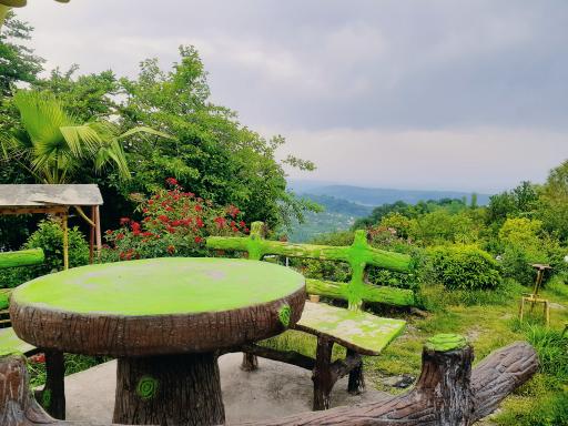 عکس مجموعه گردشگری عمو رشید