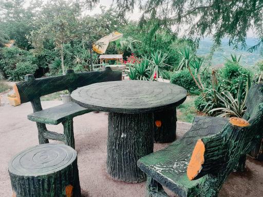 عکس مجموعه گردشگری عمو رشید