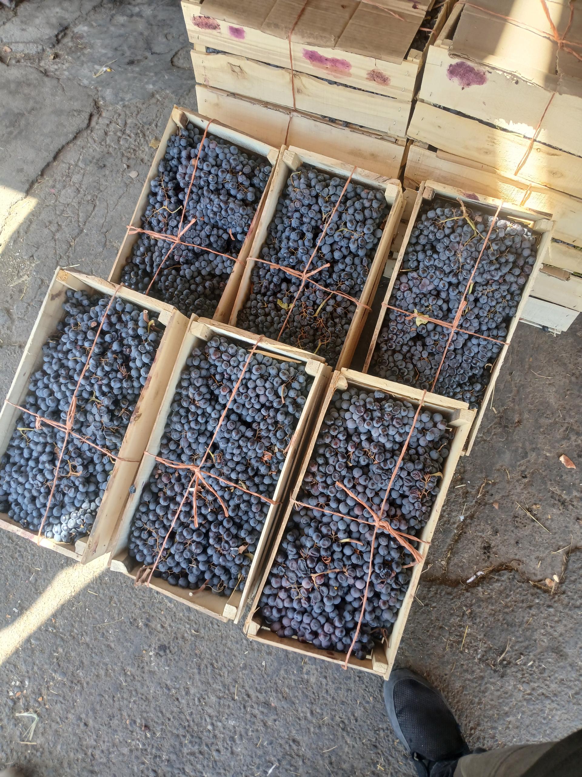 عکس میوه فروشی فولادی