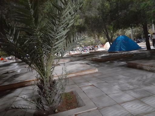 عکس پارک جنگلی خلیج فارس