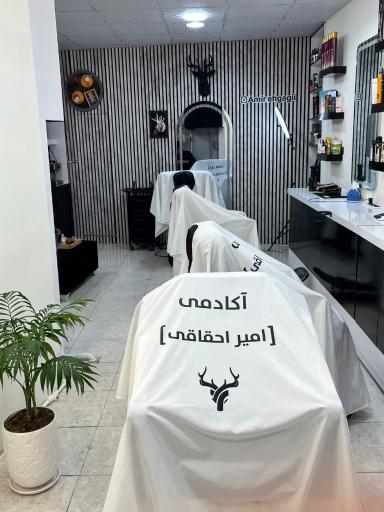 عکس آکادمی امیر احقاقی