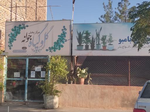 گل و گیاه جوانه