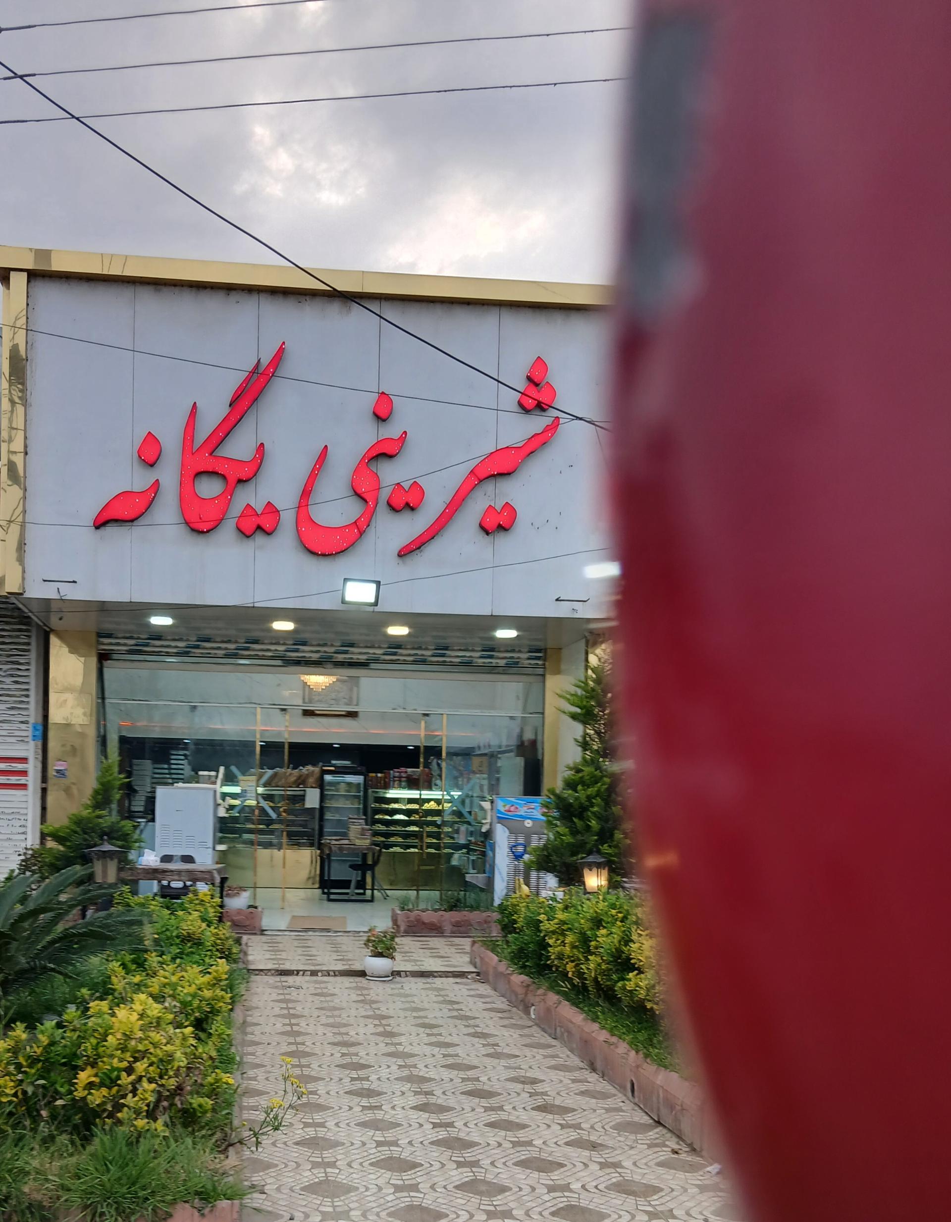 عکس شیرینی یگانه