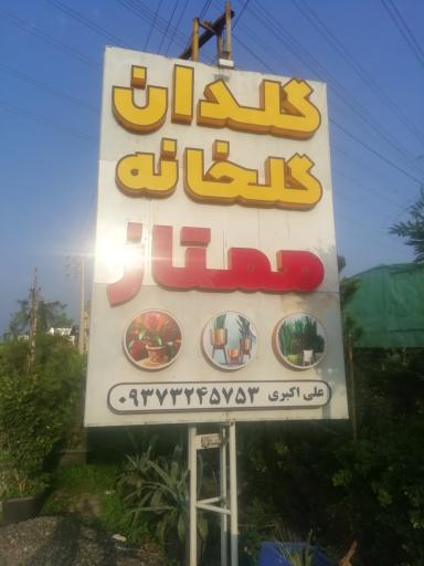 عکس گلخانه و گلدان ممتاز