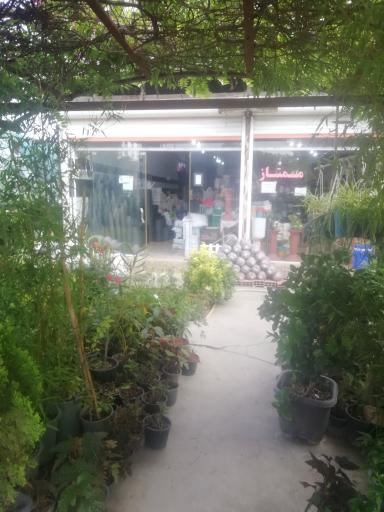 عکس گلخانه و گلدان ممتاز