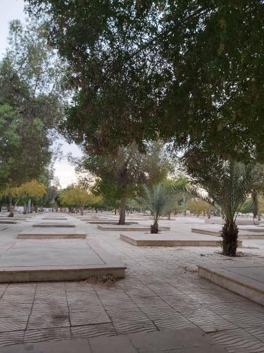 عکس پارک جنگلی خلیج فارس