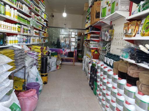 عکس داروخانه گیاهپزشکی مهندس غزنوی