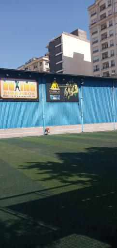 عکس مجموعه ورزشی دیباجی