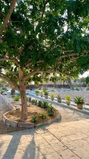 عکس اقامتگاه بومگردی جالبوت بوجیکدان 