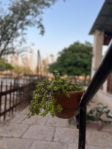 عکس اقامتگاه بومگردی جالبوت بوجیکدان 