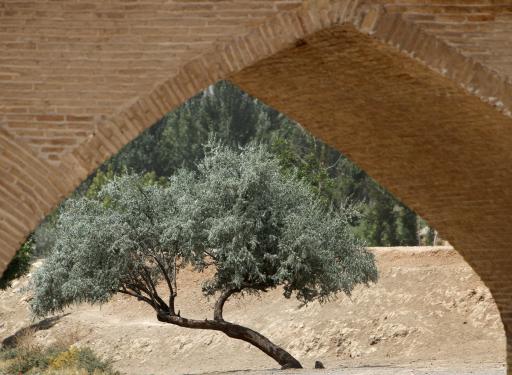 عکس پل بابا محمود سهرو فیروزان