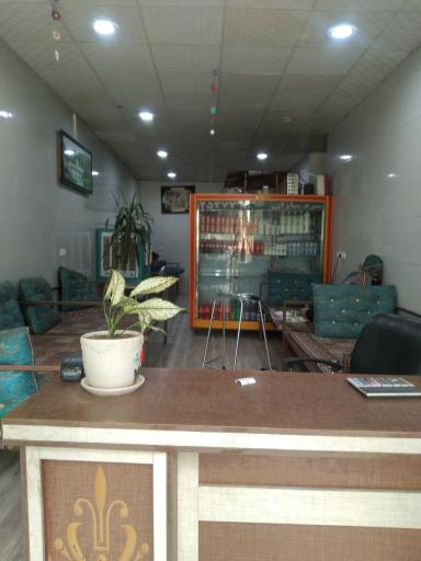 عکس تهیه غذا فانوس