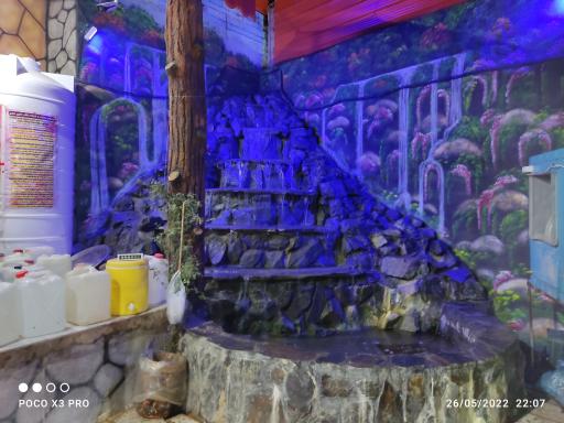 عکس گلاب گیری نظری