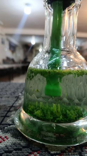 عکس قهوه خانه ماه