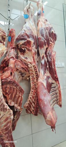 عکس آقای قصاب