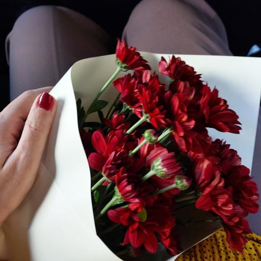 عکس گلفروشی علمین (شعبه سهروردی)