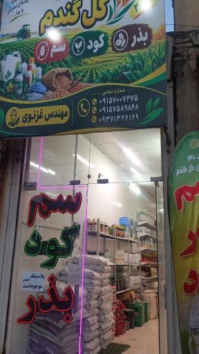 عکس داروخانه گیاهپزشکی مهندس غزنوی
