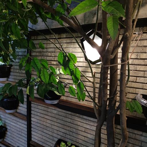 عکس مهمانپذیر کوزی