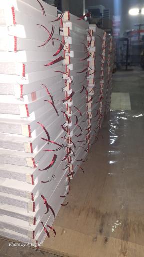 عکس صحافی یاران