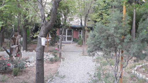 عکس آموزش دوچرخه سواری پیوندسبز