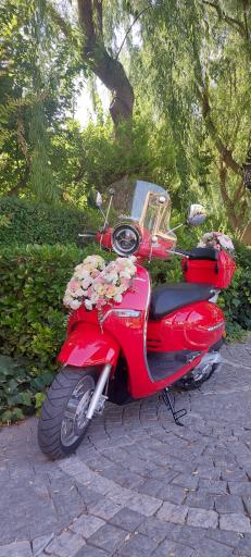 عکس آتلیه برند عروس vip