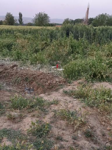 عکس مزرعه مکارم