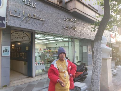 عکس هتل نادری