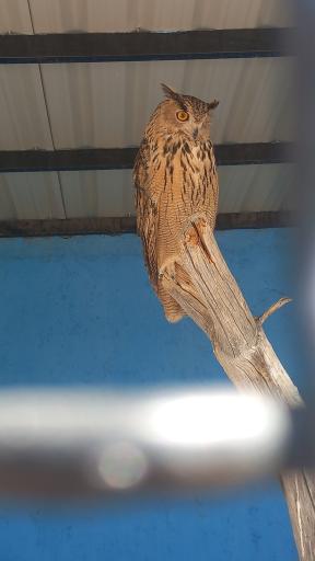 عکس مجموعه گردشگری نیر زیبای من