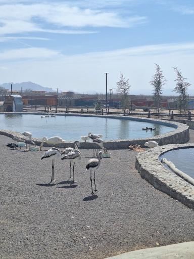 عکس مجموعه گردشگری نیر زیبای من