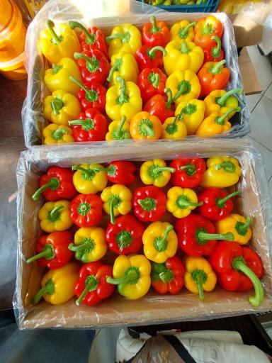 عکس سوپر میوه المهدی