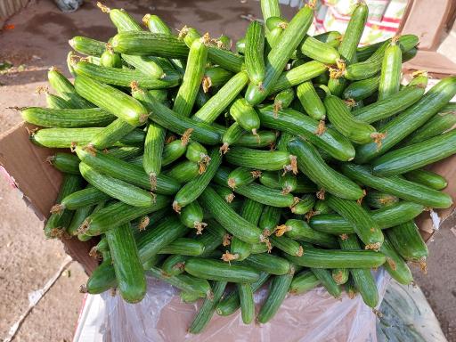 عکس سوپر میوه المهدی