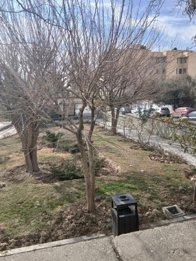 عکس بوستان شمس